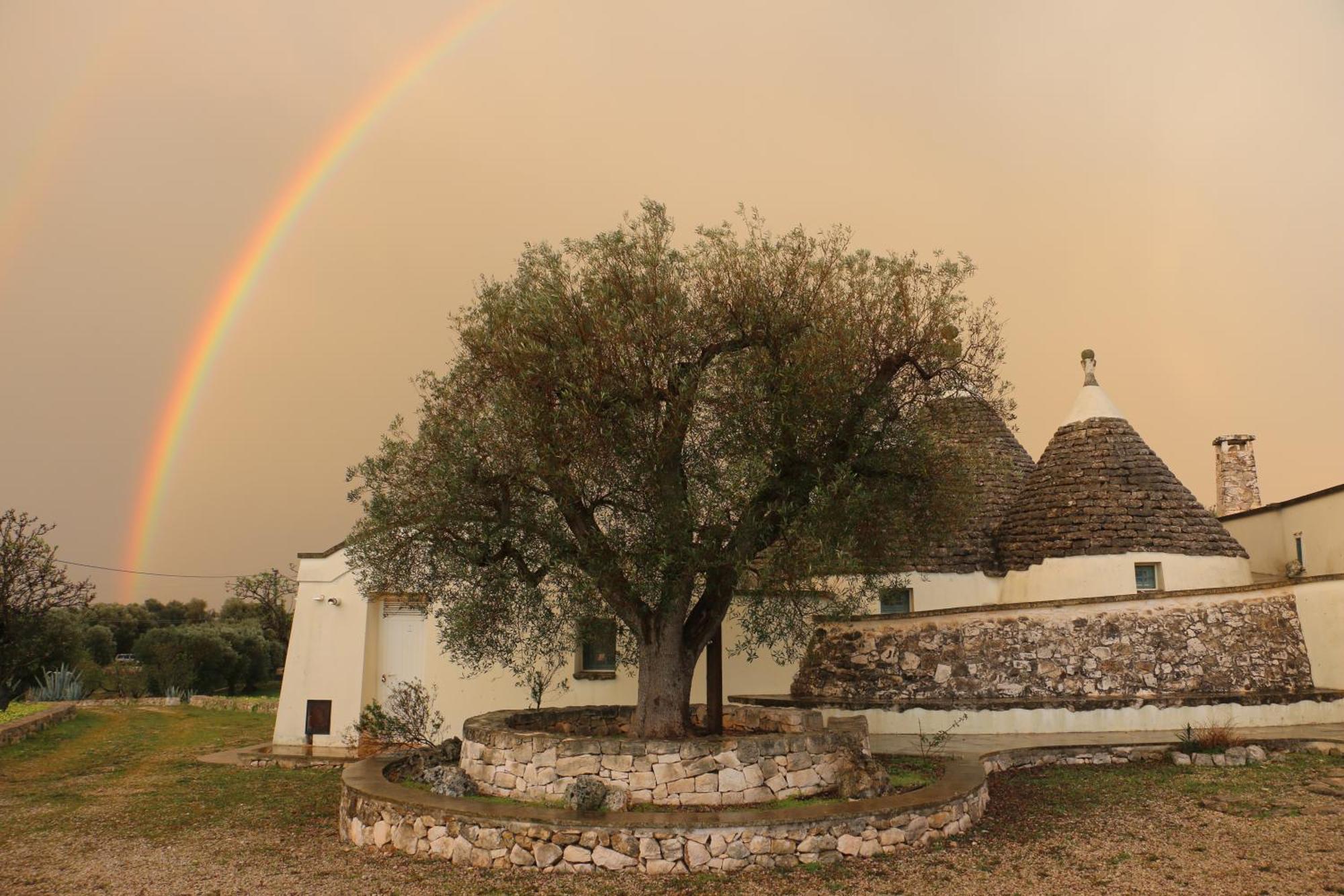 Villa 4 Trulli, Sea View, Vista Mare, Isolata 奥斯图尼 外观 照片